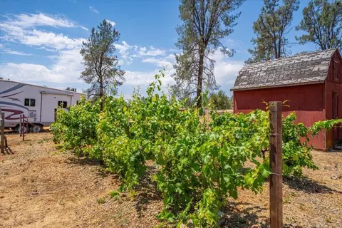 17331 Lassen Ave, Anderson, CA 96007 photo 45
