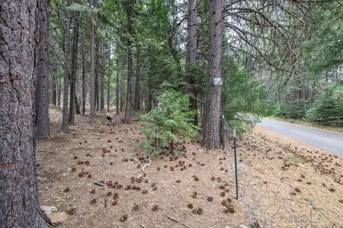Exterior - 36088 Deer Flat Rd, Shingletown, CA 96088 photo 6 of 10