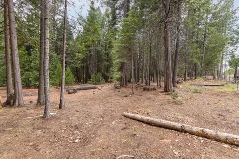 Exterior - 36088 Deer Flat Rd, Shingletown, CA 96088 photo 7 of 10