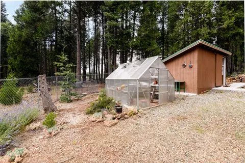 Exterior - 36088 Deer Flat Rd, Shingletown, CA 96088 photo 3 of 10