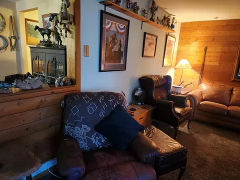 Living - 25965 Cir Bell Rd, Fall River Mills, CA 96028 photo 3 of 3