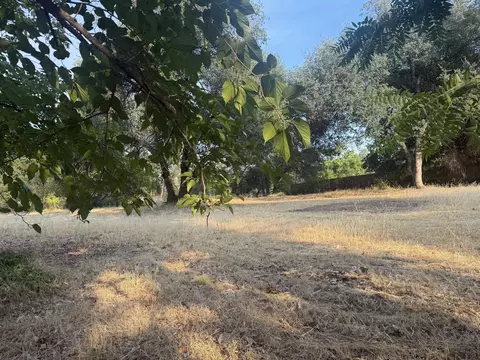 3293 Middleton Ln, Redding, CA 96002
