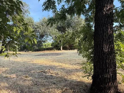 3293 Middleton Ln, Redding, CA 96002 photo 8