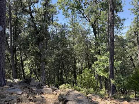 11941 Atkins Rd, Whitmore, CA 96096 photo 25