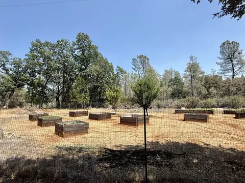 11941 Atkins Rd, Whitmore, CA 96096 photo 30