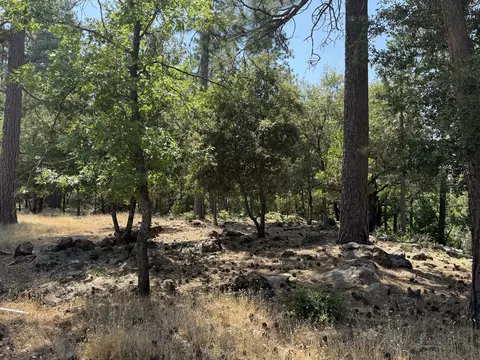 11941 Atkins Rd, Whitmore, CA 96096 photo 24