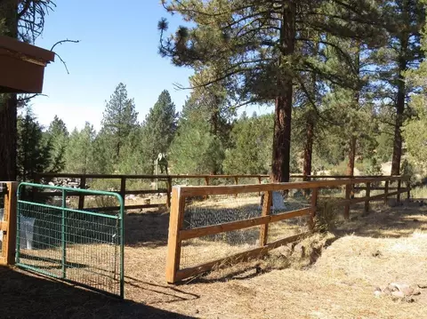 548-700 Hwy 139, Adin, CA 96006 photo 32