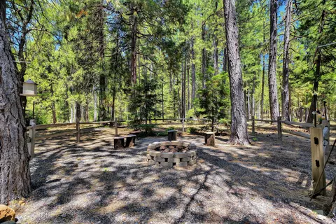 8226 Circle K Dr, Shingletown, CA 96088 photo 28