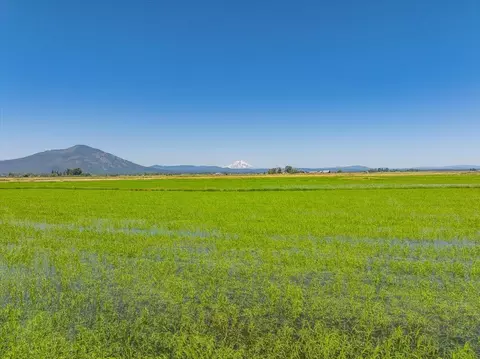 View/Area - 42500 Mcarthur Rd, Fall River Mills, CA 96028 photo 27 of 28
