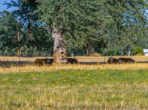 Other - 15775 Red Bank Rd, Red Bluff, CA 96080 photo 36 of 36