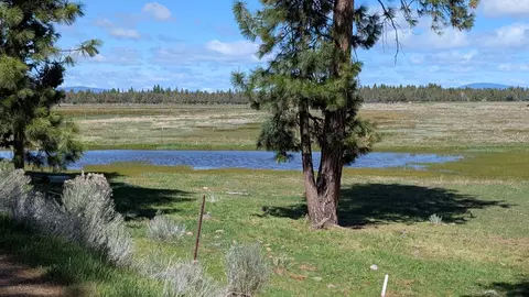View/Area - 18801 Leavers Ln, Macdoel, CA 96058 photo 11 of 25
