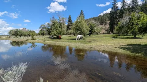 Other - 18801 Leavers Ln, Macdoel, CA 96058 photo 59 of 61