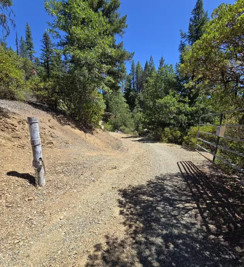 20310 Ca-36, Hayfork, CA 96041 photo 3