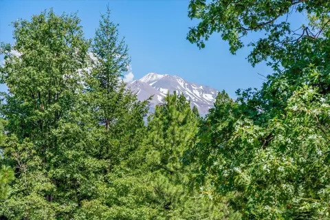 8000 Osprey Ln, Weed, CA 96094 photo 26