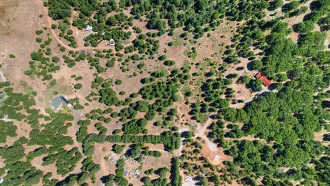 8000 Osprey Ln, Weed, CA 96094 photo 32