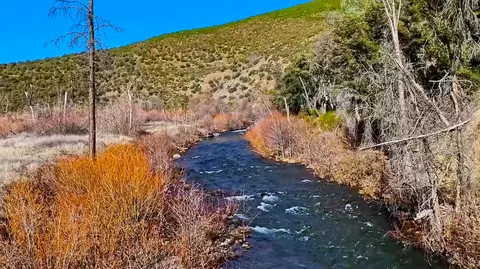 000 Off Trinity Mountain Rd, French Gulch, CA 96033