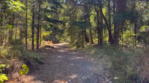 15888 Phillips Rd, Oak Run, CA 96069 photo 25