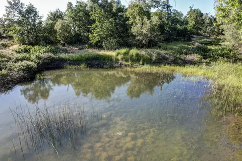View/Area - 13360 Oak Run Rd, Oak Run, CA 96069 photo 3 of 3