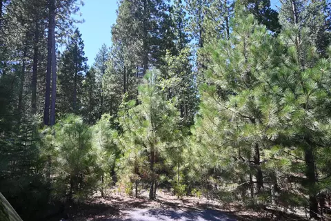 019 Chad Ct, Burney, CA 96013