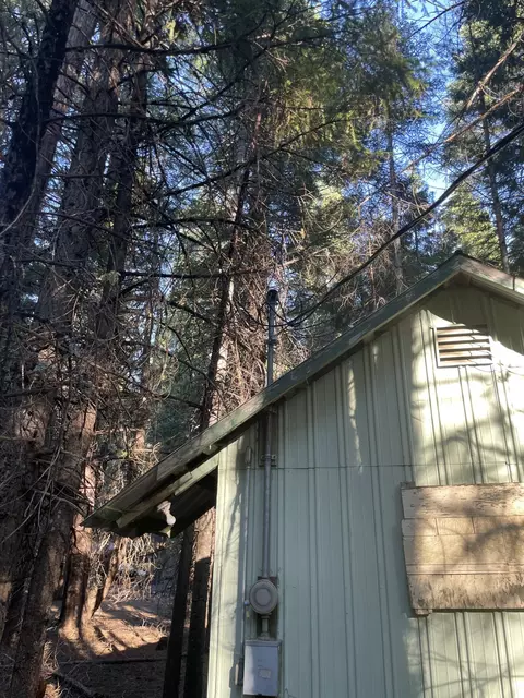 Shenandoah Drive, Shingletown, CA 96088 photo 4