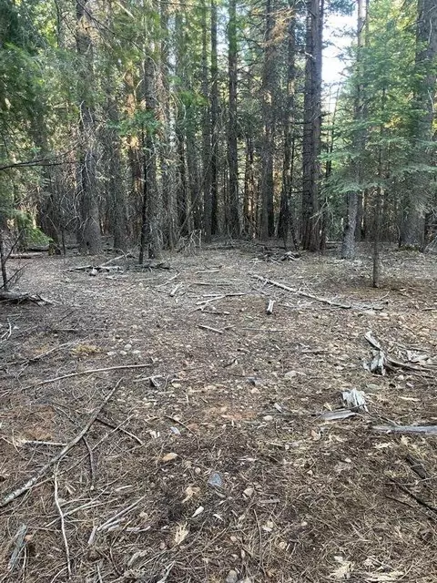 Shenandoah Drive, Shingletown, CA 96088 photo 10