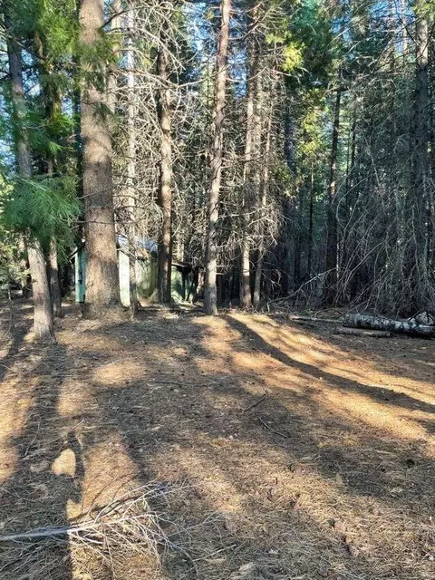 Shenandoah Drive, Shingletown, CA 96088 photo 9