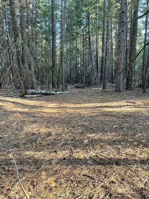 Shenandoah Drive, Shingletown, CA 96088 photo 7