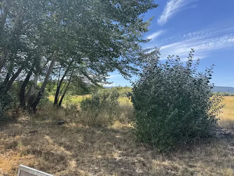 Exterior - 312 Water St, Bieber, CA 96009 photo 11 of 12