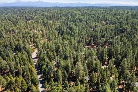 View/Area - 30925 Thumper Dr, Shingletown, CA 96088 photo 1 of 4