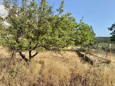Exterior - 30503 Terry Mill Rd, Round Mountain, CA 96084 photo 23 of 23