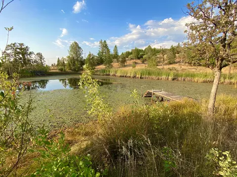 View/Area - 30503 Terry Mill Rd, Round Mountain, CA 96084 photo 2 of 2