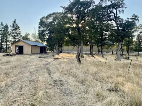 Exterior - 30503 Terry Mill Rd, Round Mountain, CA 96084 photo 15 of 23