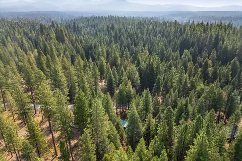 Other - 35486 Wild Turkey Ln, Shingletown, CA 96088 photo 6 of 6