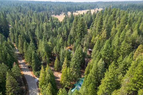 View/Area - 35486 Wild Turkey Ln, Shingletown, CA 96088 photo 3 of 3