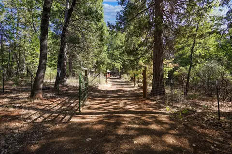 21800 Cedar Ridge Rd, Manton, CA 96059 photo 34