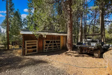 21800 Cedar Ridge Rd, Manton, CA 96059 photo 30