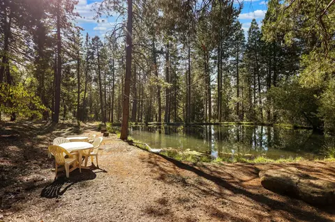 21800 Cedar Ridge Rd, Manton, CA 96059 photo 31