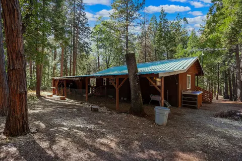 21800 Cedar Ridge Rd, Manton, CA 96059 photo 28