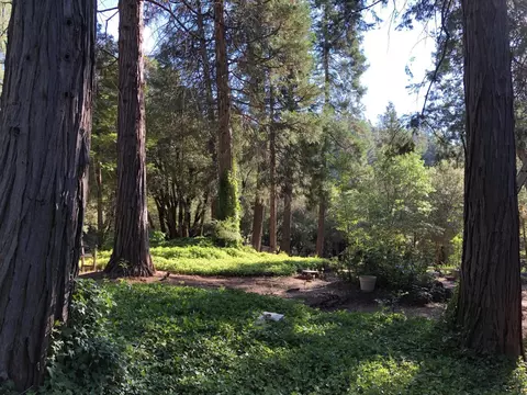 32400 Dickerson Way, Whitmore, CA 96096 photo 43