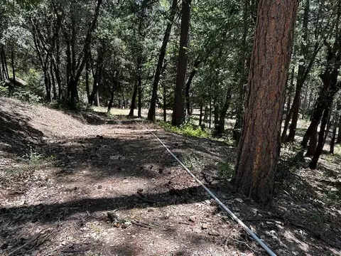 32400 Dickerson Way, Whitmore, CA 96096 photo 20