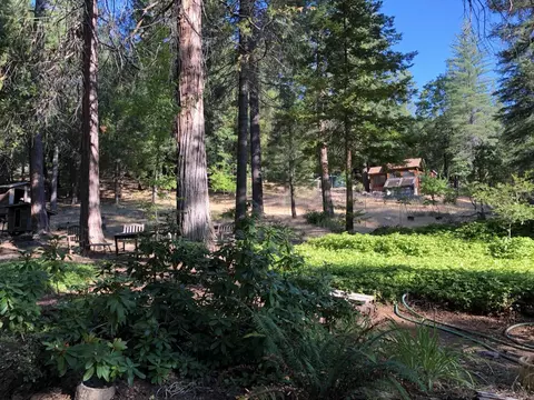 32400 Dickerson Way, Whitmore, CA 96096 photo 45