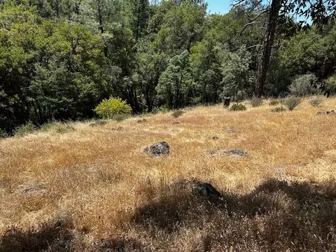 32400 Dickerson Way, Whitmore, CA 96096 photo 17