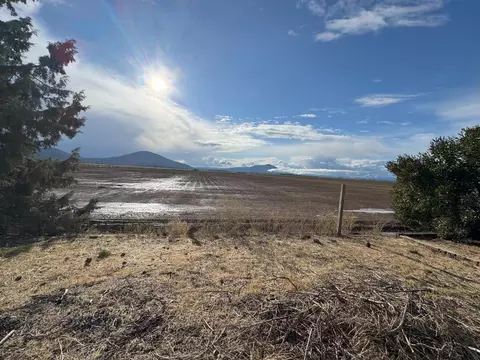 View/Area - 25991 Cir Bell Rd, Fall River Mills, CA 96028 photo 1 of 1
