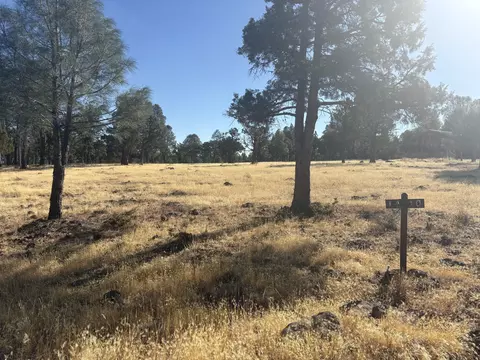 000 Shoshoni Loop, Fall River Mills, CA 96028 photo 3