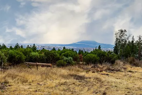 33150 Forward Rd, Manton, CA 96059 photo 2