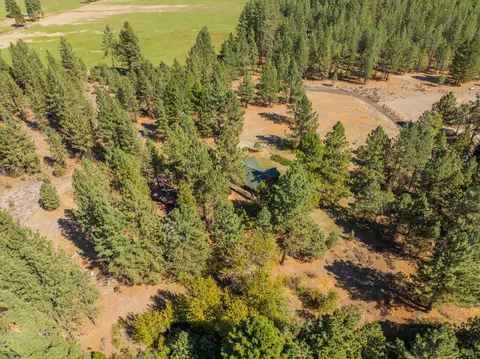 View/Area - 12792 Clearbrook Dr, Old Station, CA 96071 photo 3 of 3