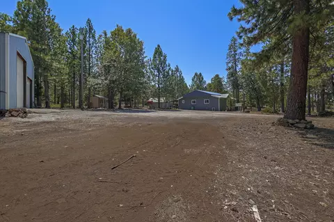 29944 White Pine Way, Round Mountain, CA 96084 photo 31