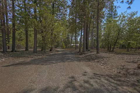 29944 White Pine Way, Round Mountain, CA 96084 photo 86