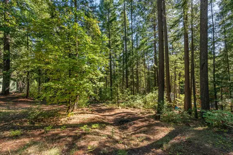 761 Lake Forest Dr, Trinity Center, CA 96091 photo 39