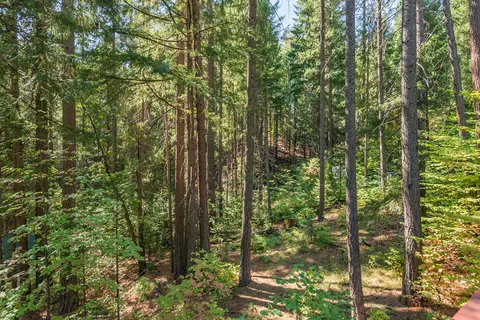 761 Lake Forest Dr, Trinity Center, CA 96091 photo 35